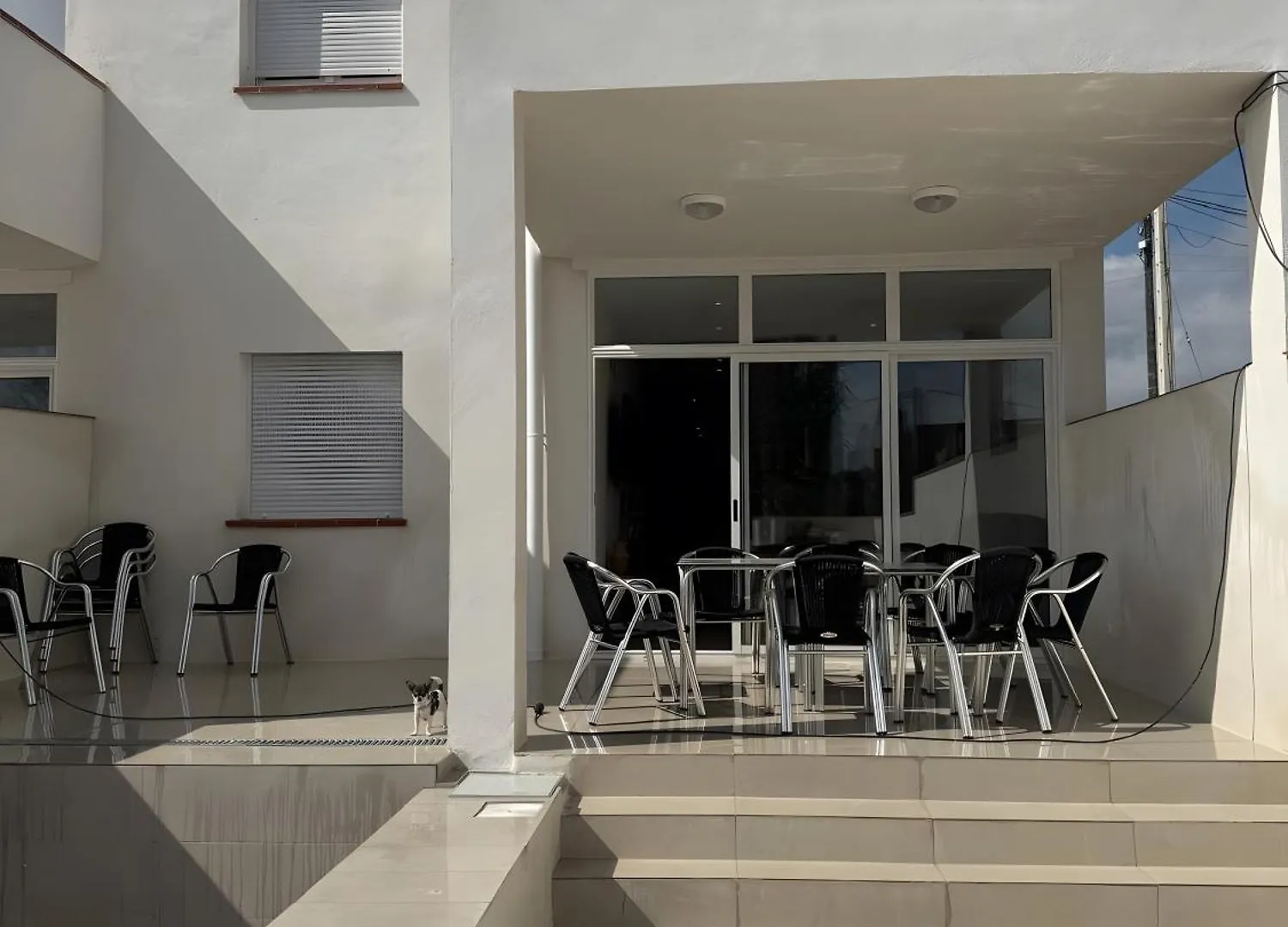 Eucaliptus Villa Camarles